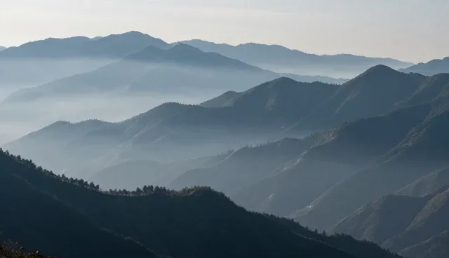 技术服务如何应对业务发展趋势中的维护挑战